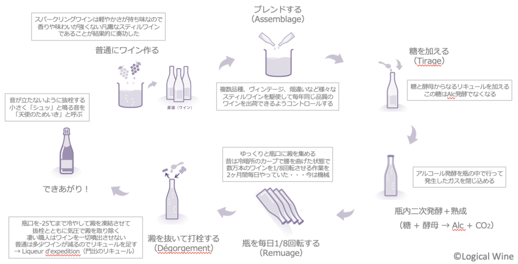 ワインの製造技術 実験講座 番外編 カリフォルニア州のワイン造り その1